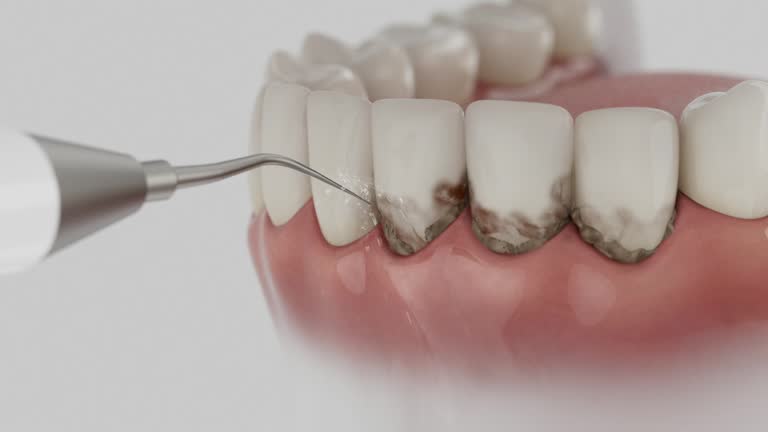 Reliable Dental contractor in Cheval, FL by Dentist Open Now